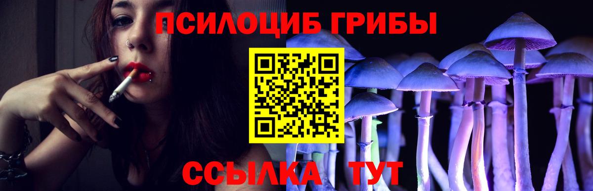 Галлюциногенные грибы мицелий  Вход с VPN  Новошахтинск 